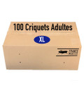 Carton de 50 Criquets Adultes