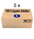 Carton de 500 Criquets Adultes