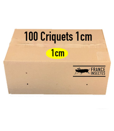 Criquets 2 cm (Carton de 100)